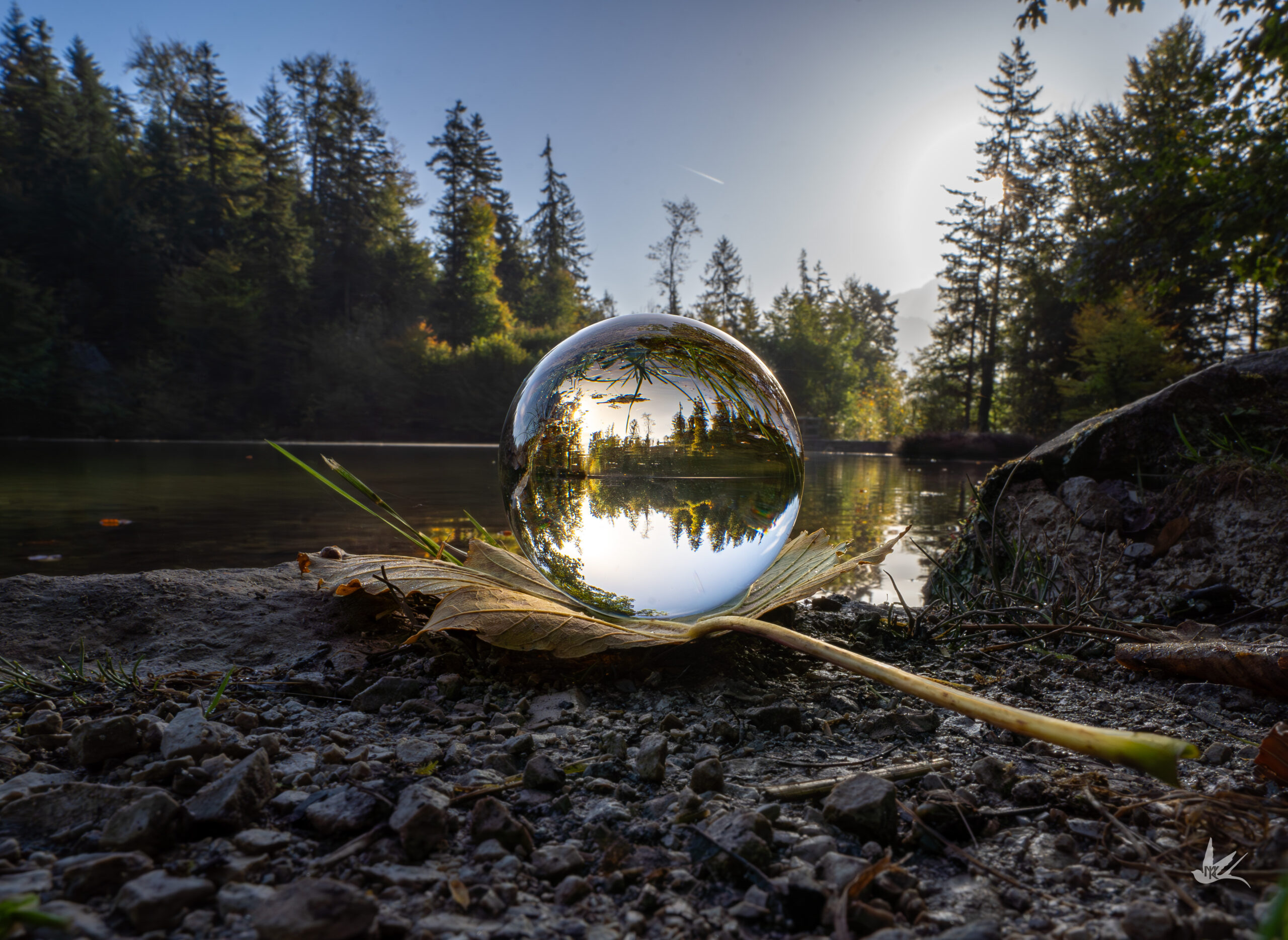 _DSC0194-Verbessert-NR