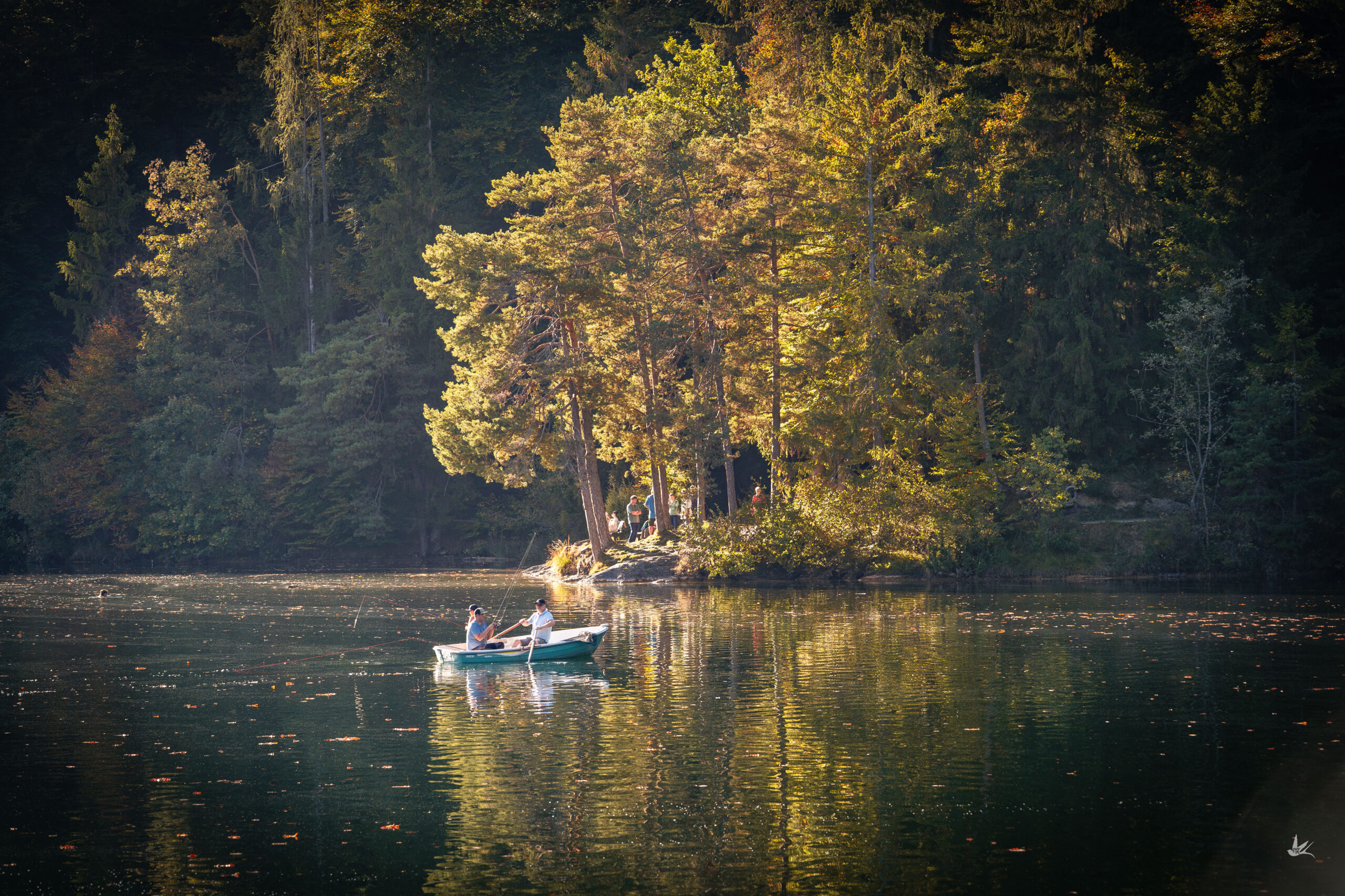 _DSC0256-Verbessert-NR