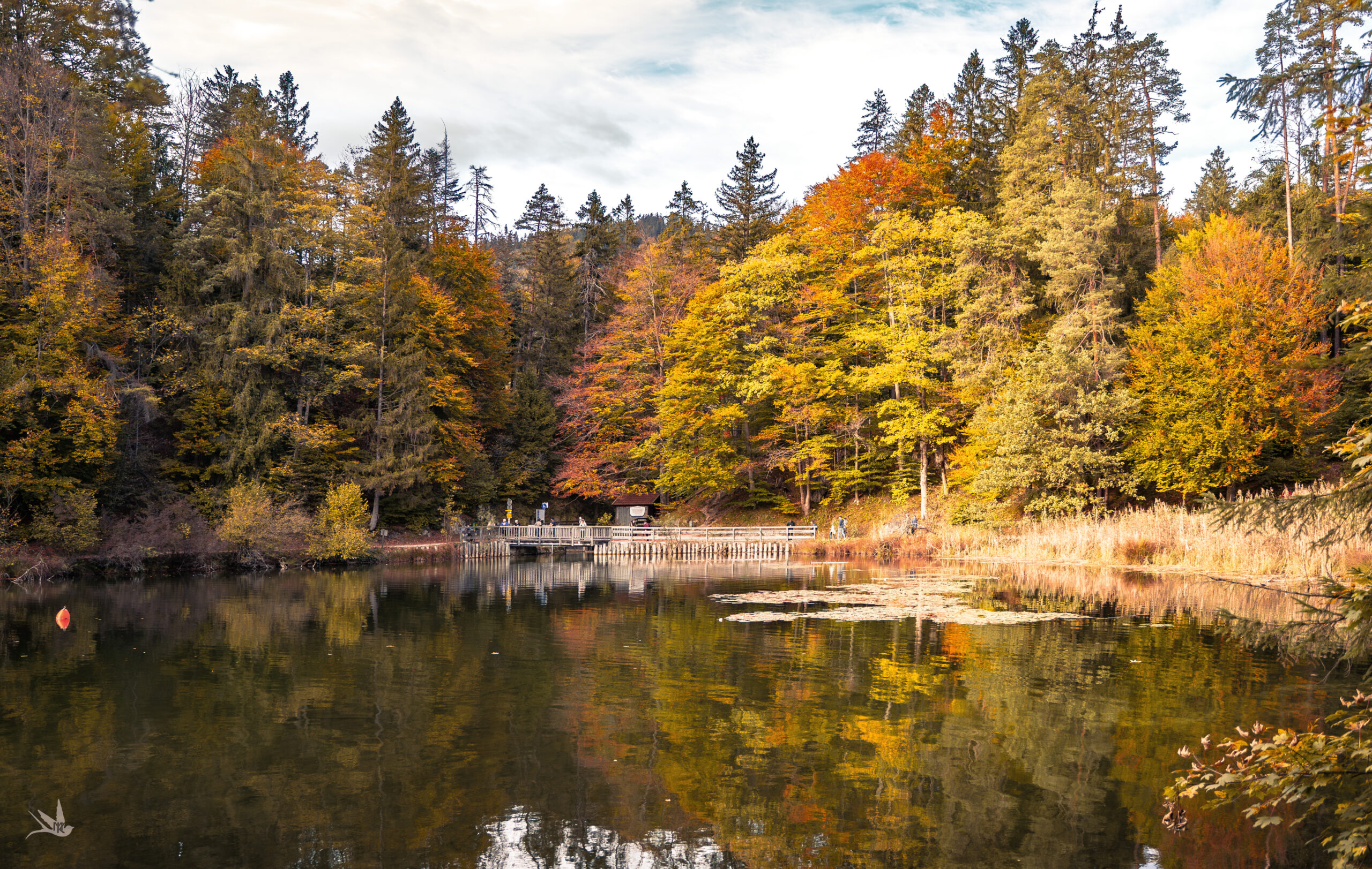 _DSC0543-Verbessert-NR