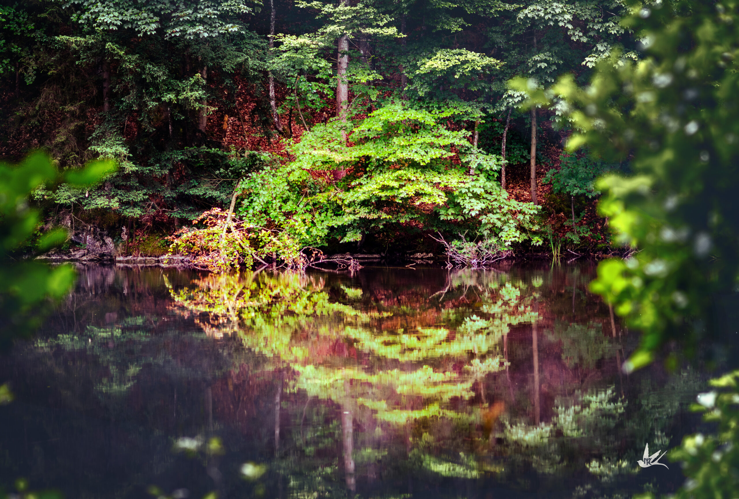 _DSC1603-Verbessert-NR1