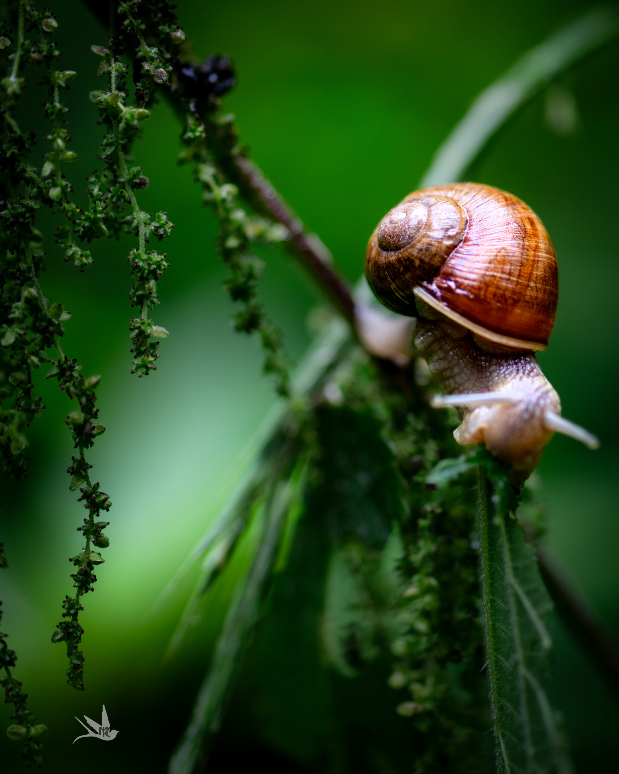 _DSC1613-Verbessert-NR