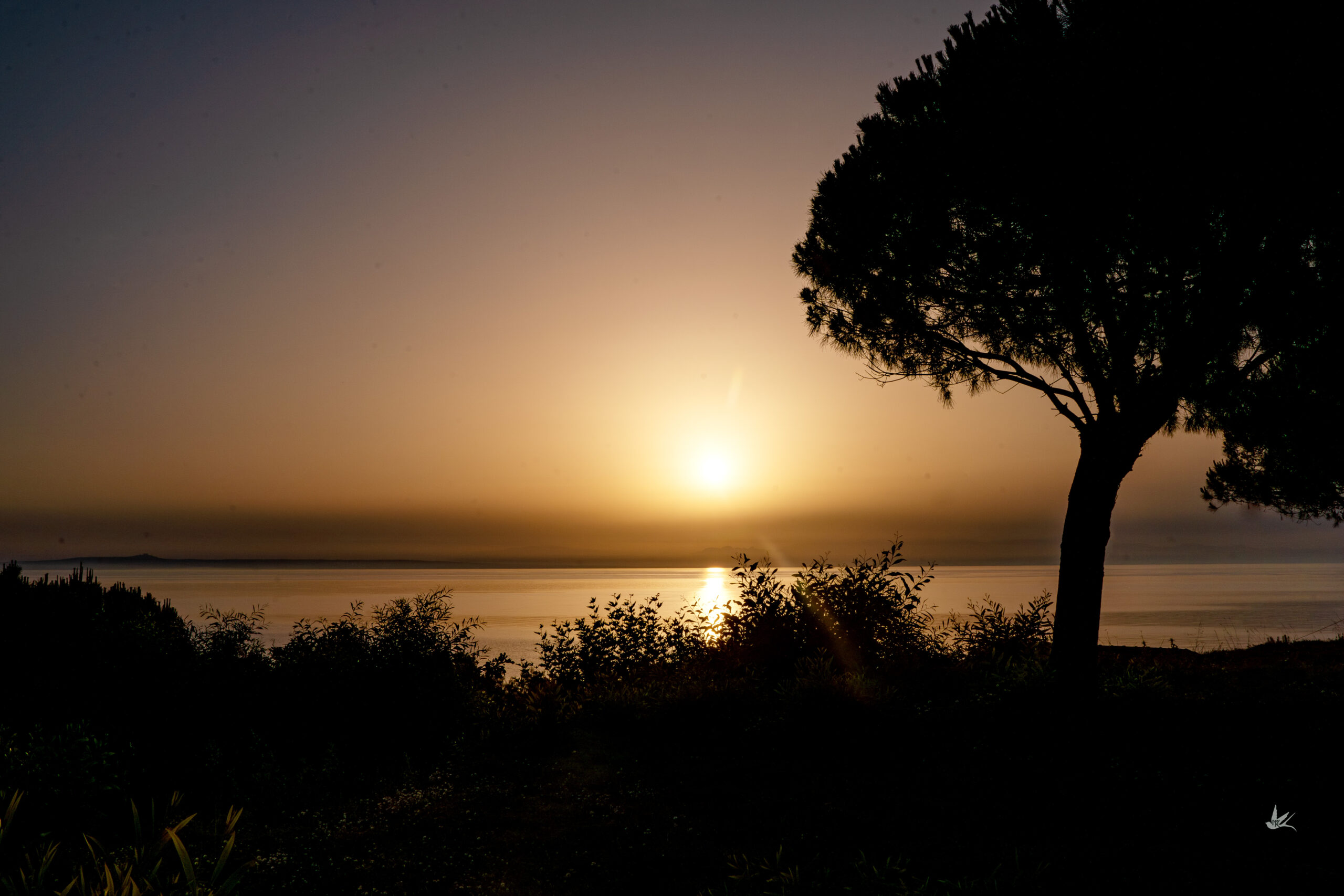 _DSC2346-Verbessert-NR1