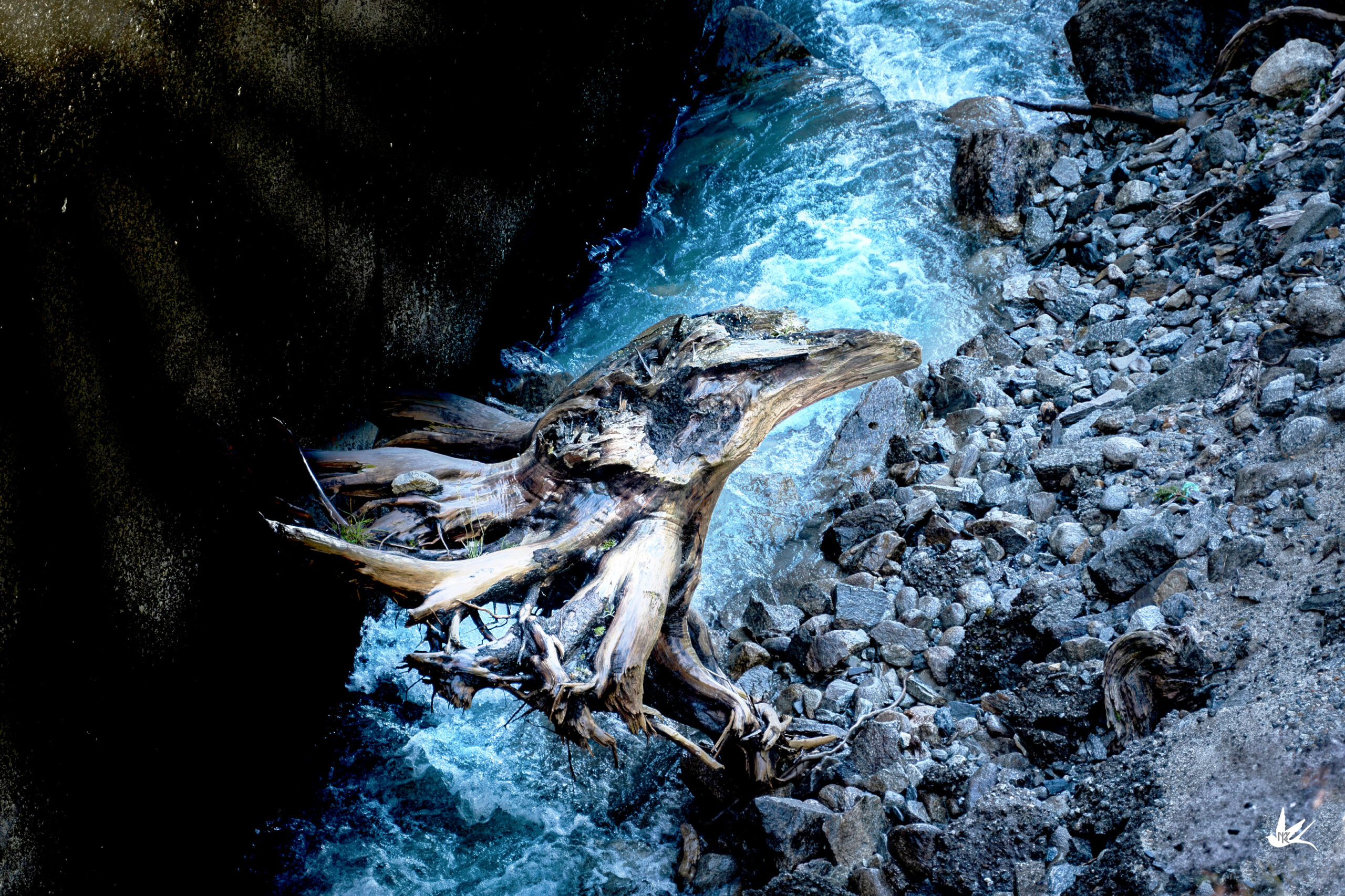 _DSC3010-Verbessert-NR