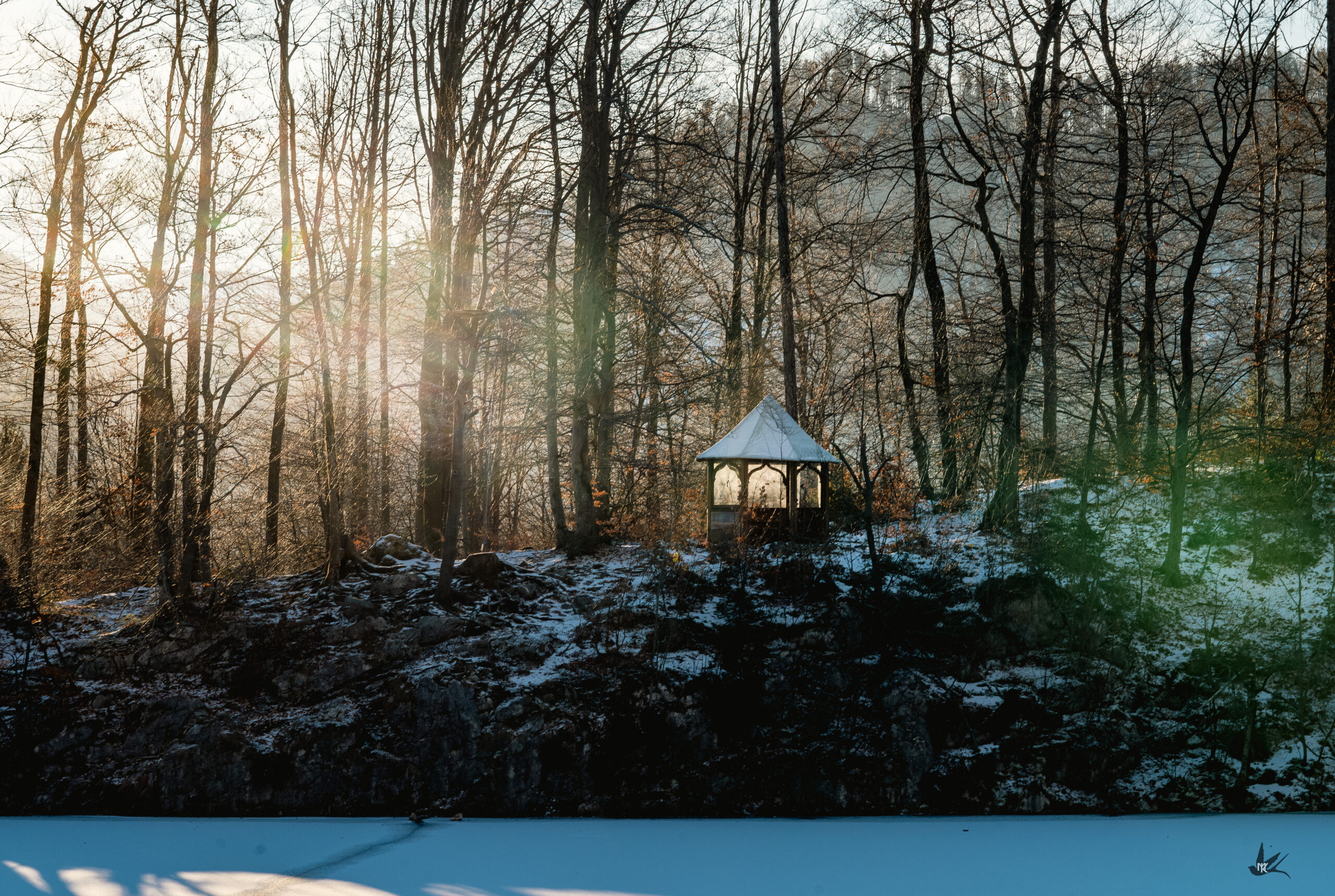 _DSC3119-Verbessert-NR