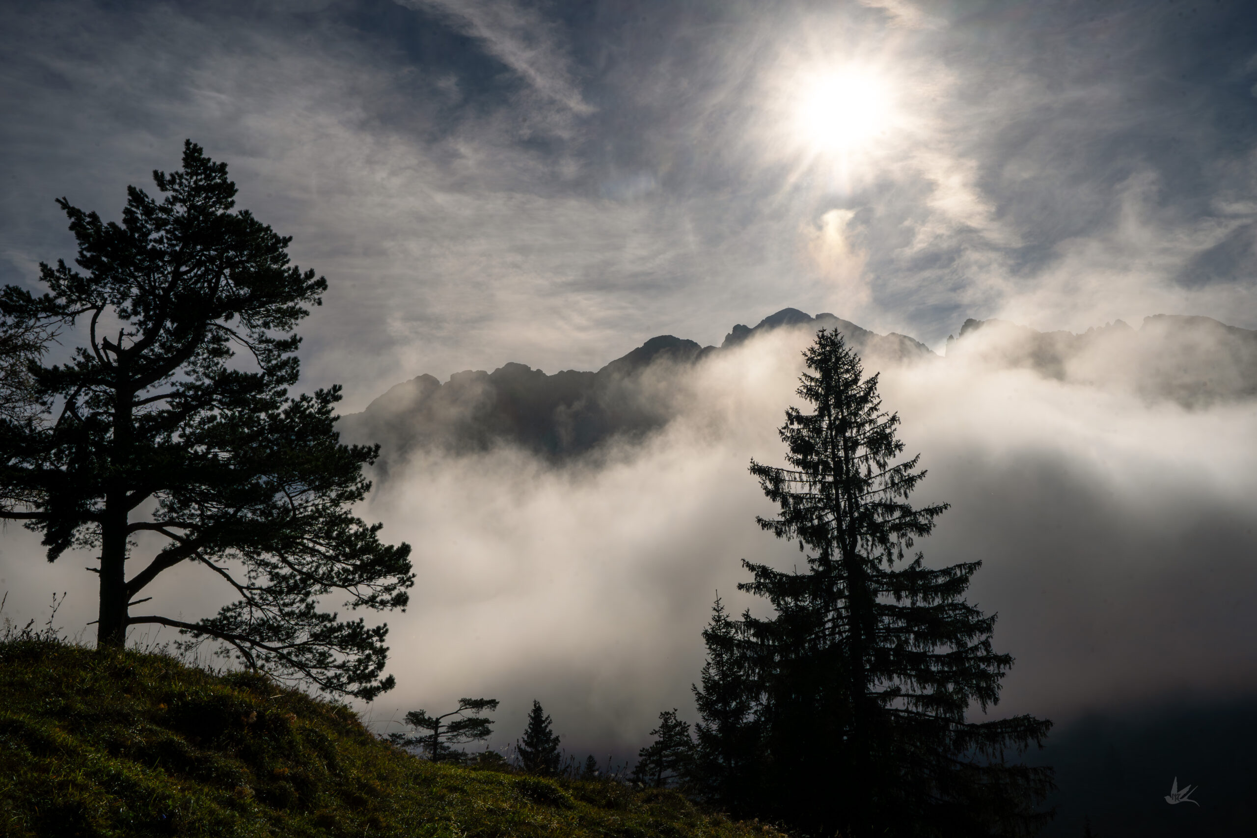 _DSC4677-Verbessert-NR