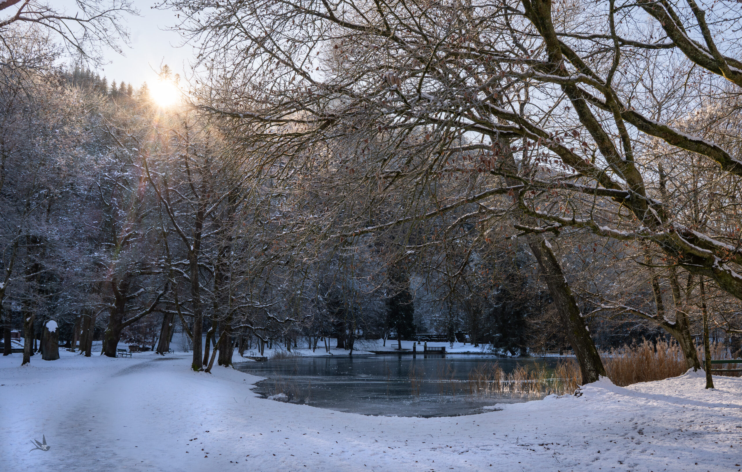 _DSC5714-Enhanced-NR